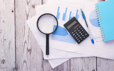 Réaliser une étude de marché solide pour son entreprise canine