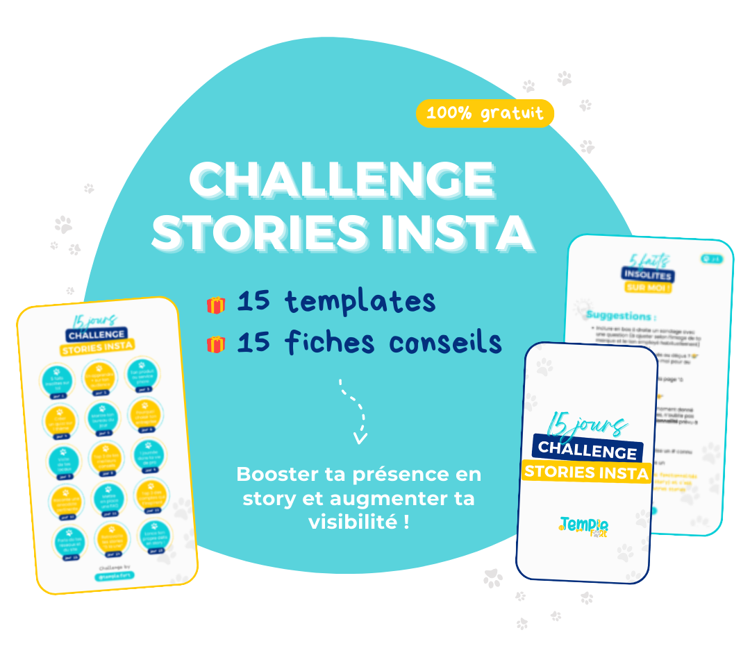 page capture challenge 15 jours stories insta