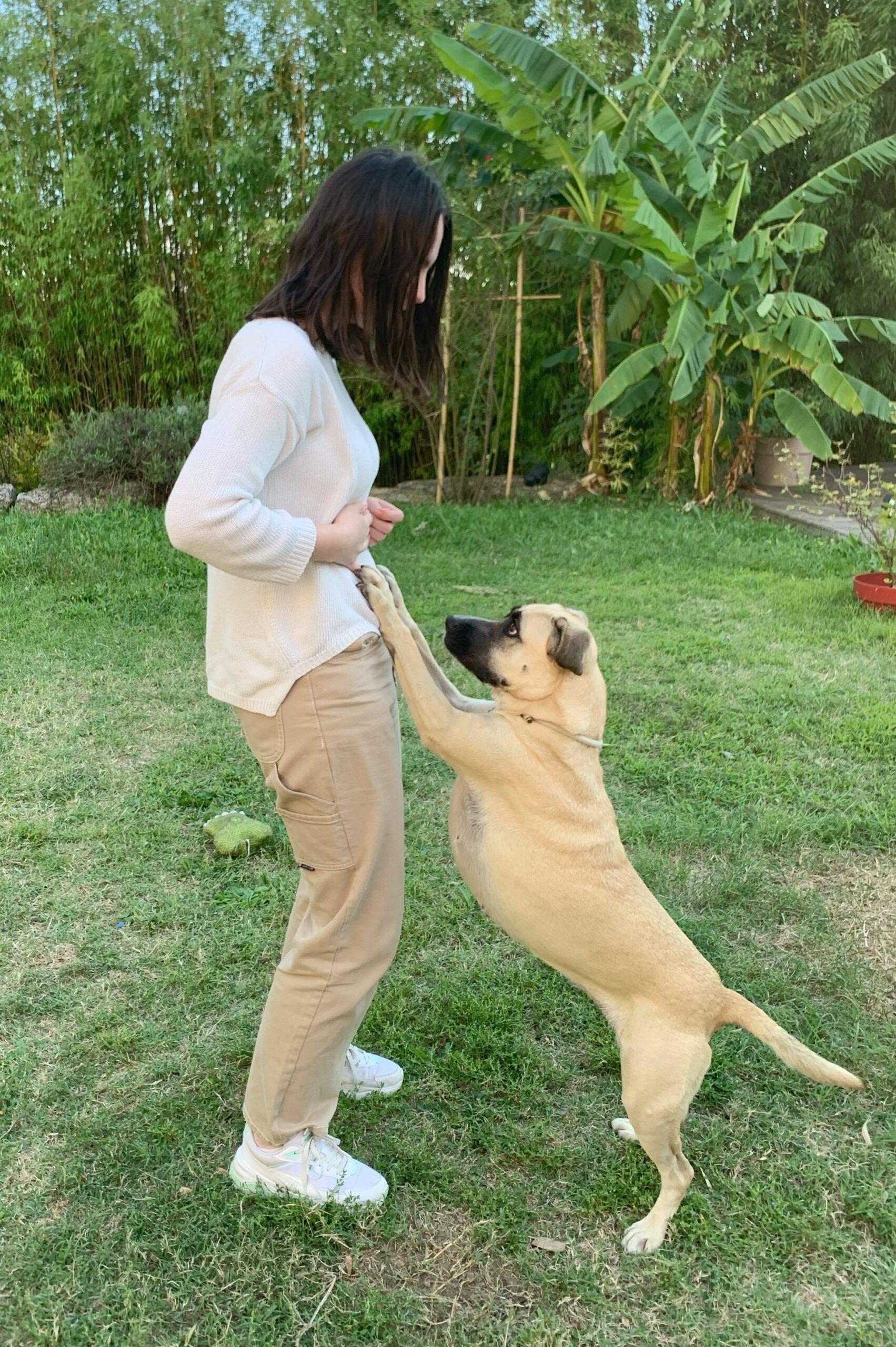 les mondes de loulou - nutrition éducation