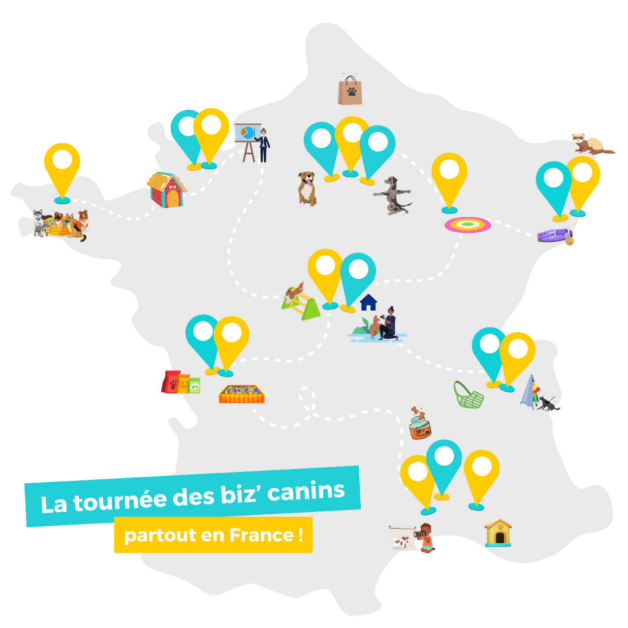 immersions entreprises canines temple fort