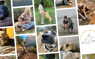 Les Mondes de Loulou : comment Florence arrive sur un marché peu développé en réinventant les relations avec les chiens grâce à la nutrition et l’éducation