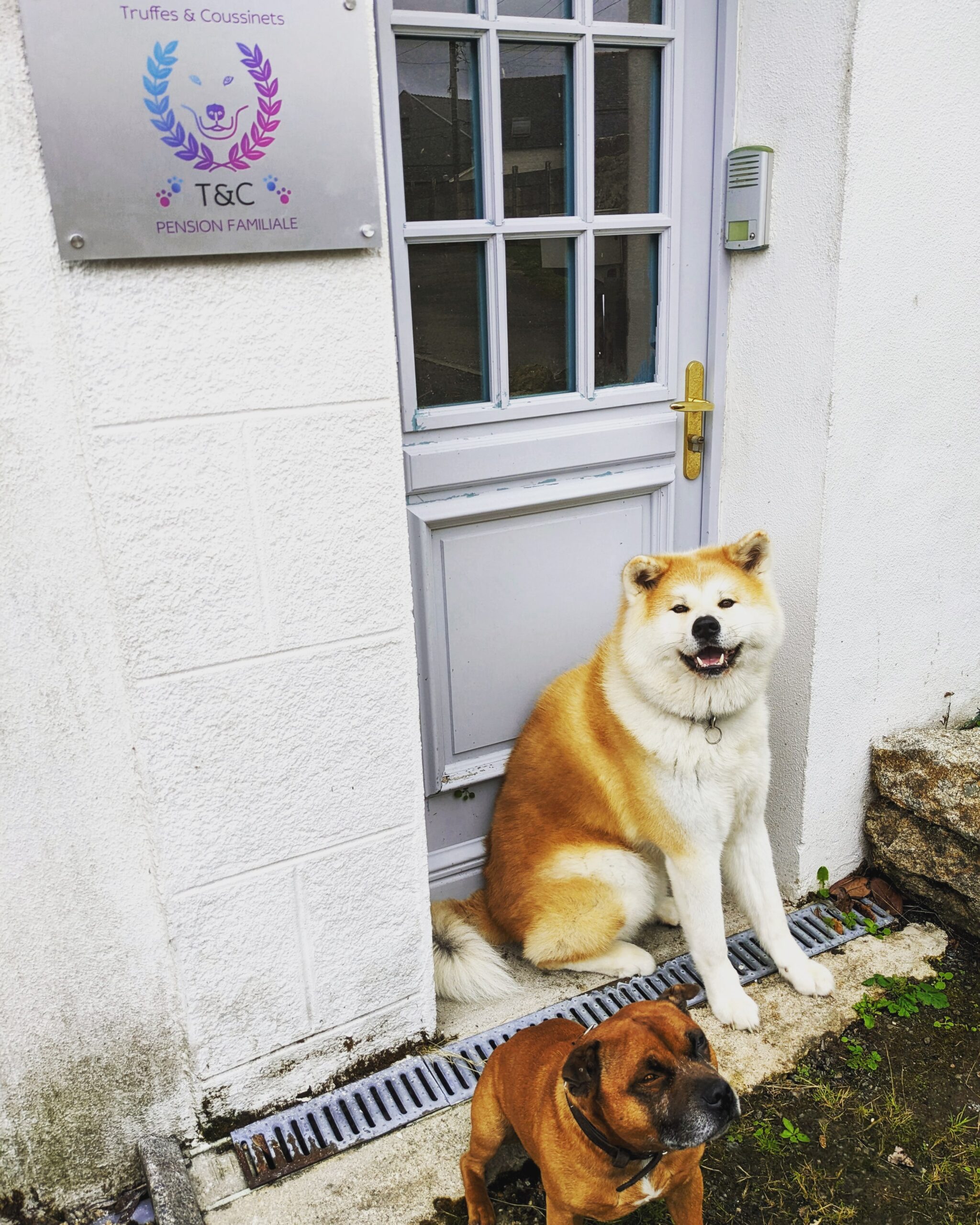 truffes & coussinets