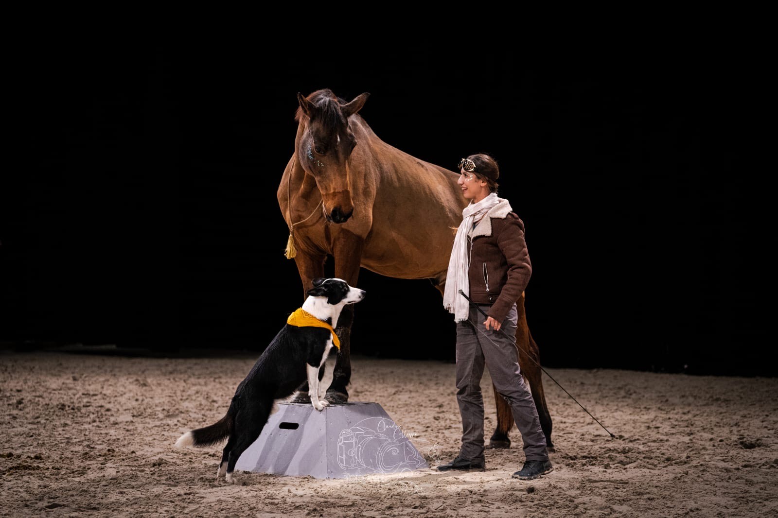 coach animalier Elodie Upico