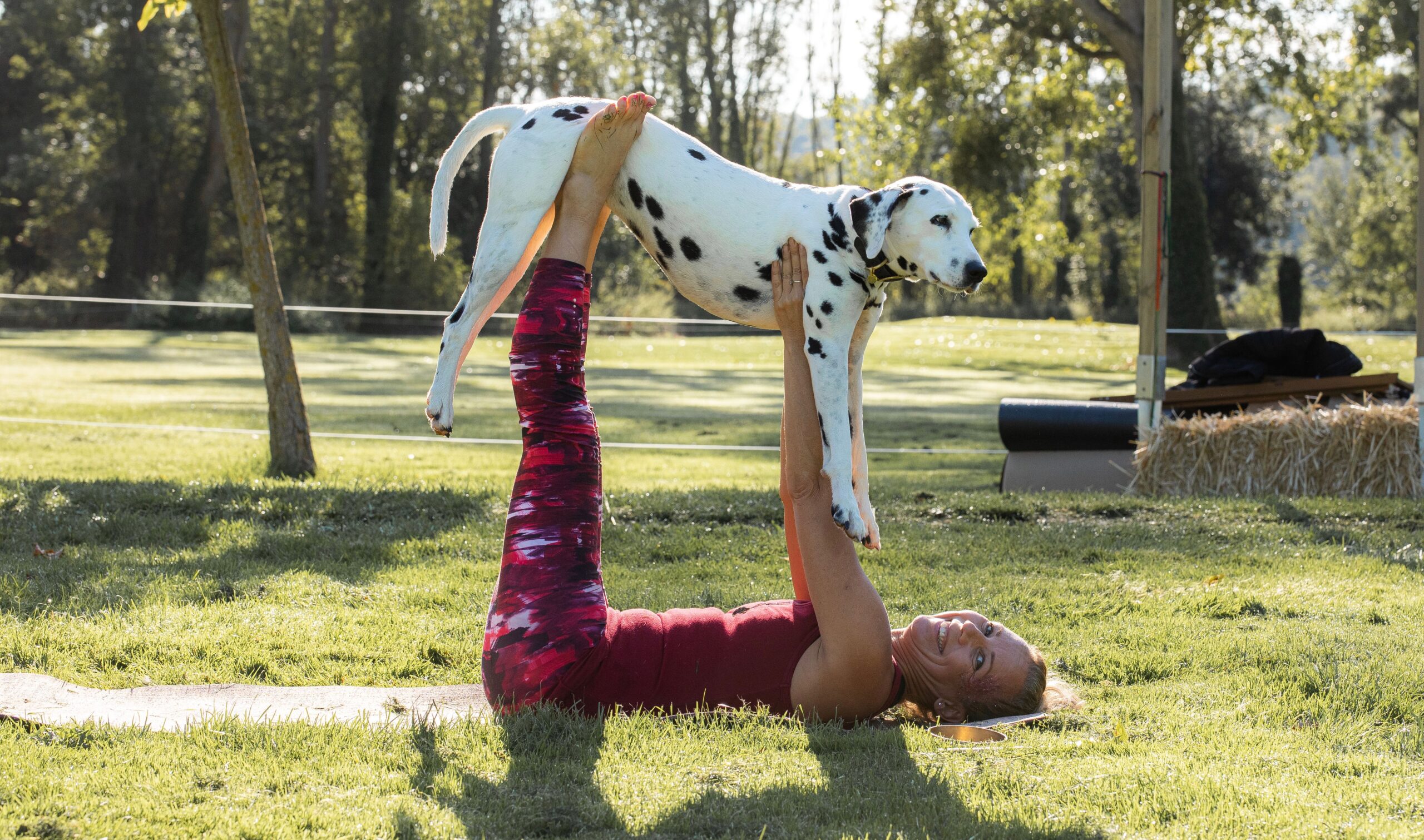 My Karma Dog - Dogasana