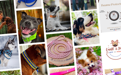 Comment ouvrir une boutique polyvalente comme Laura l’a fait avec Craft & Paw