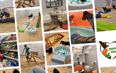 Comment ouvrir une animalerie éthique : les conseils inspirants de Catherine la fondatrice de Happy Zoo