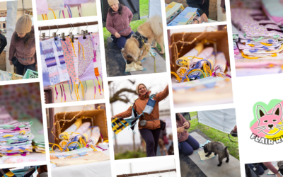 Être entrepreneure nomade dans le monde du chien avec Emilie des Créa de Rita