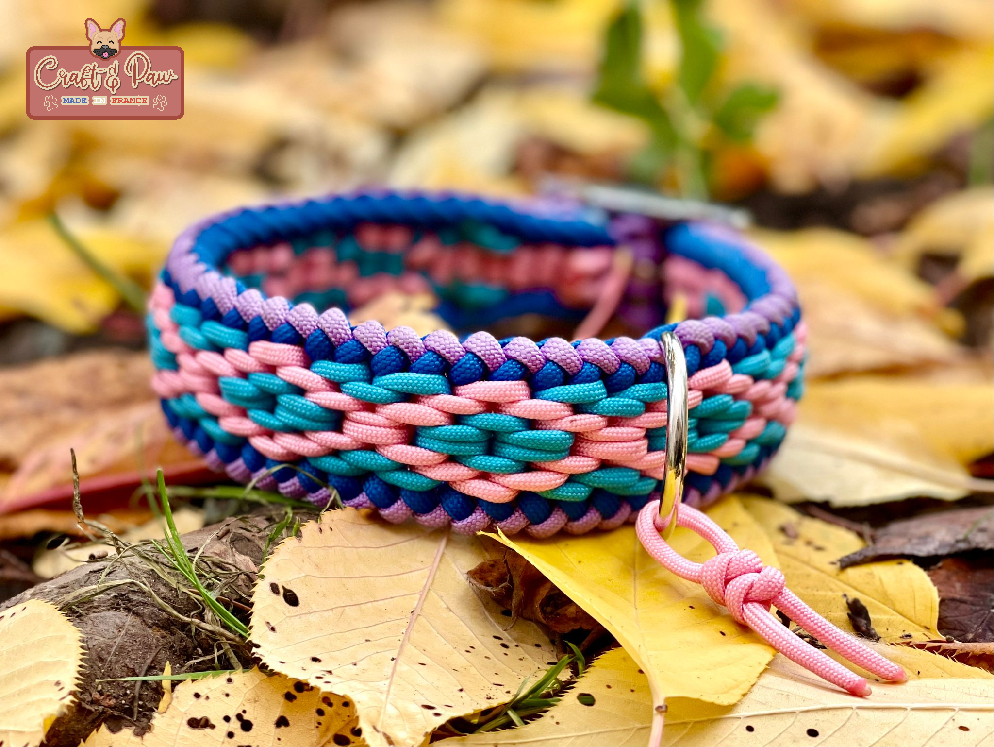 nova multi craft and paw