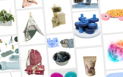 4 éléments différenciateurs très forts pour une boutique en ligne comme O Les Pattes, gérée par Laura et Pauline