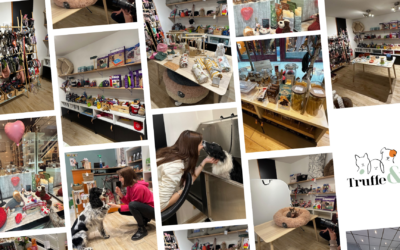 Les conseils business de Pauline, créatrice de Truffe & Co, pour ouvrir sa boutique physique