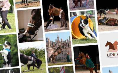 Allier passion et travail : le parcours inspirant d’Élodie, coach animalier et intervenante en médiation animale chez Upico