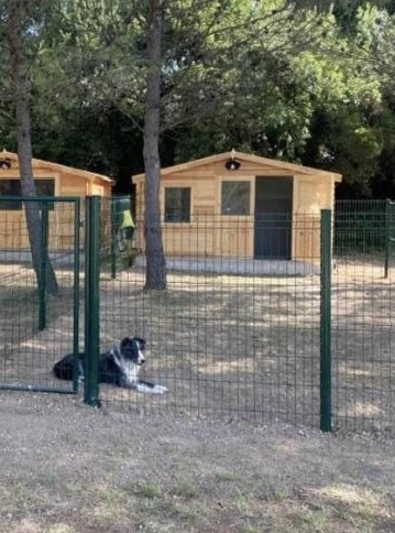 sanchou and co - sarah