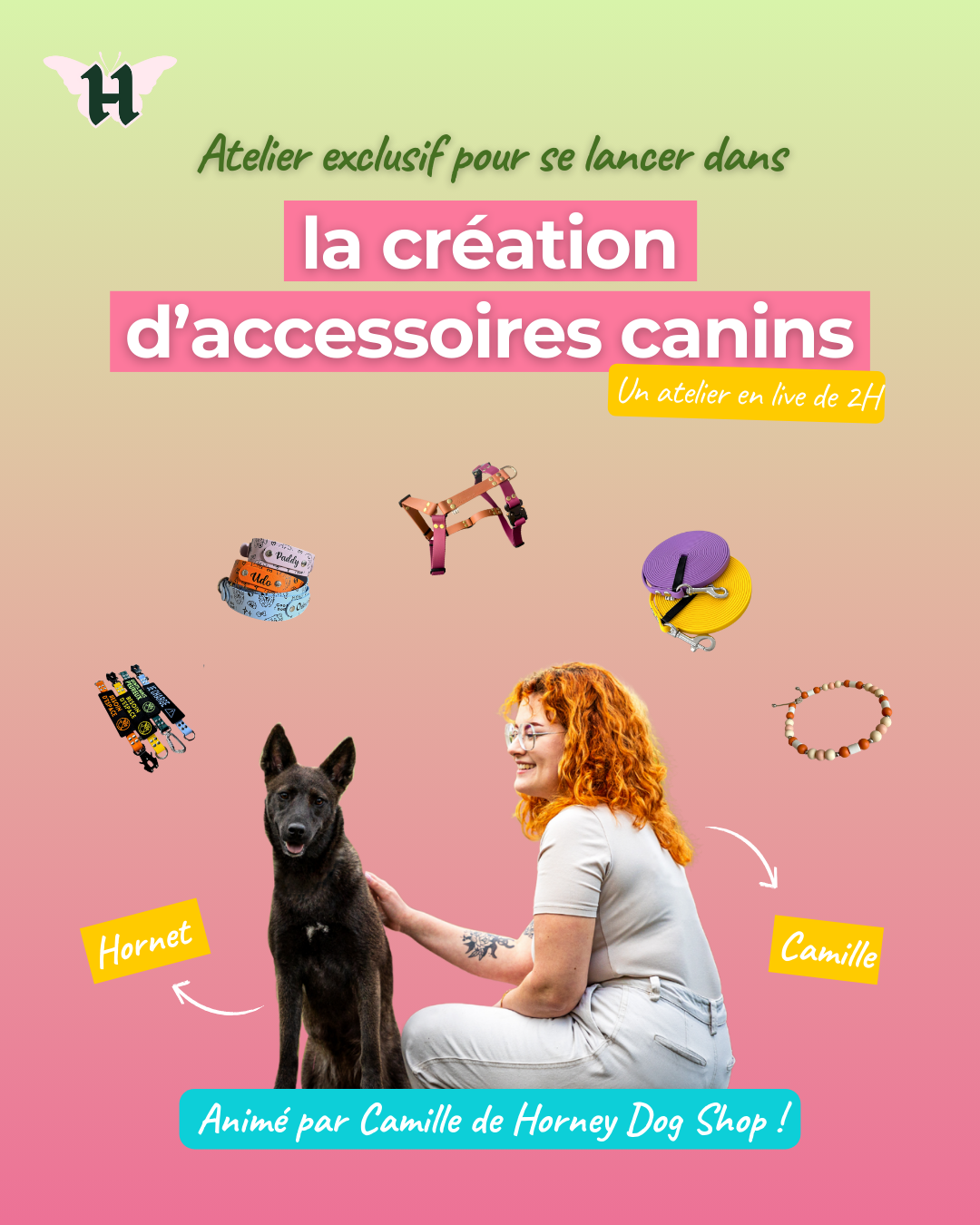 créer une boutique accessoires canins HORNEY X TEMPLEFORT